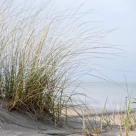 Luxe Stacaravan Albatros - 51 * ブレーデネ