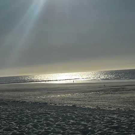 キャンプ場 Luxe Stacaravan Albatros - 51